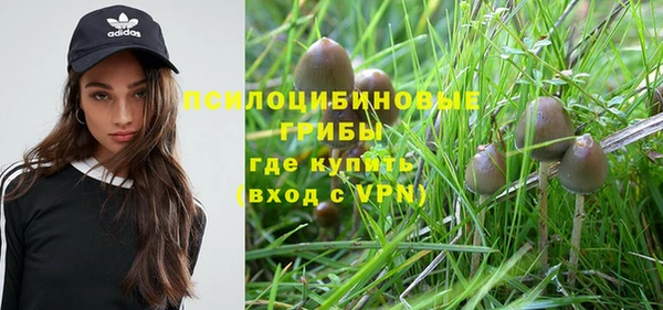 хмурый Вязьма
