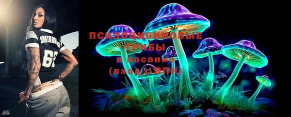 хмурый Вязьма